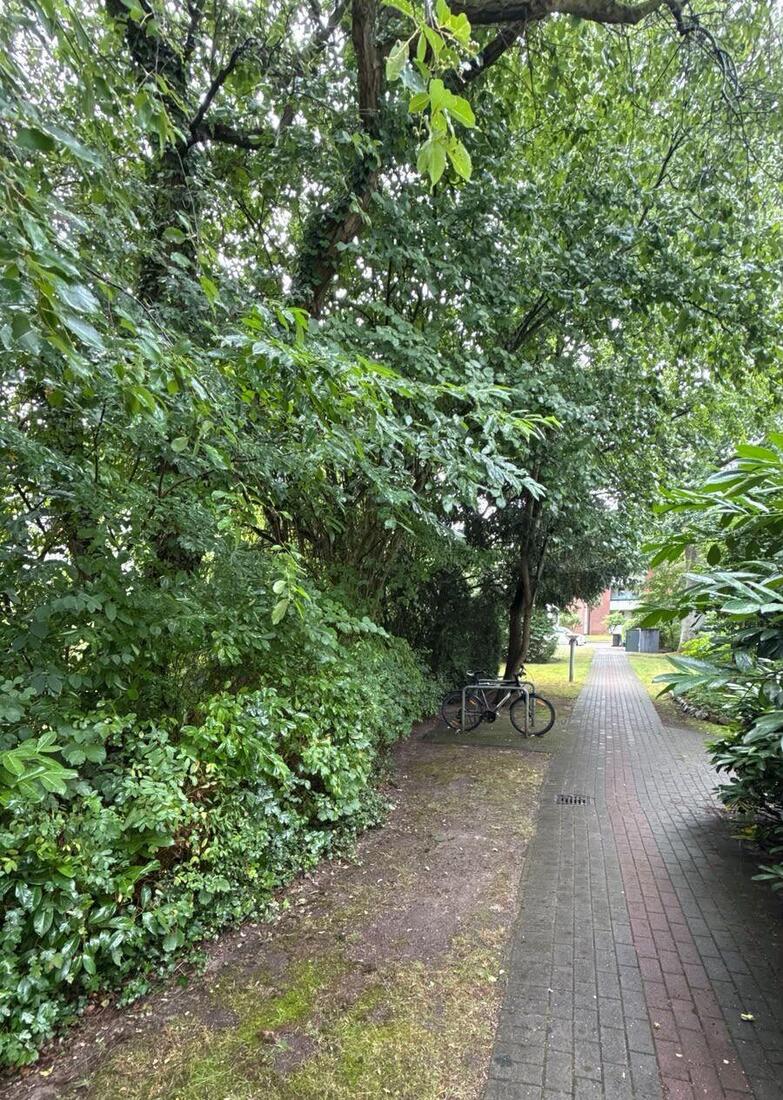 Gepflegter Gehweg entlang einer geschnittenen Hecke